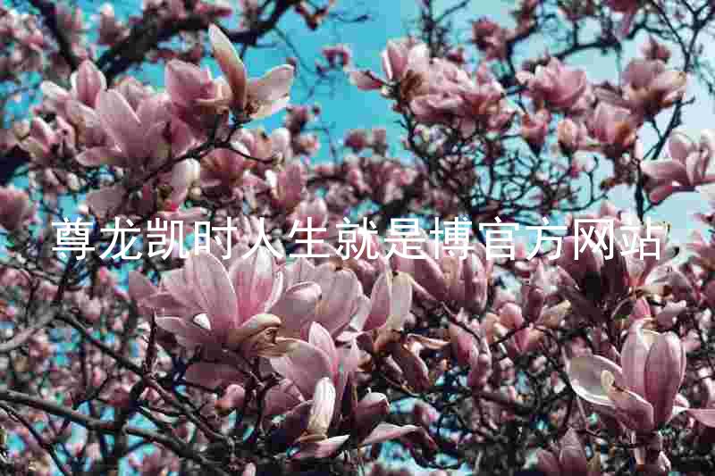 尊龙凯时人生就是博官方网站