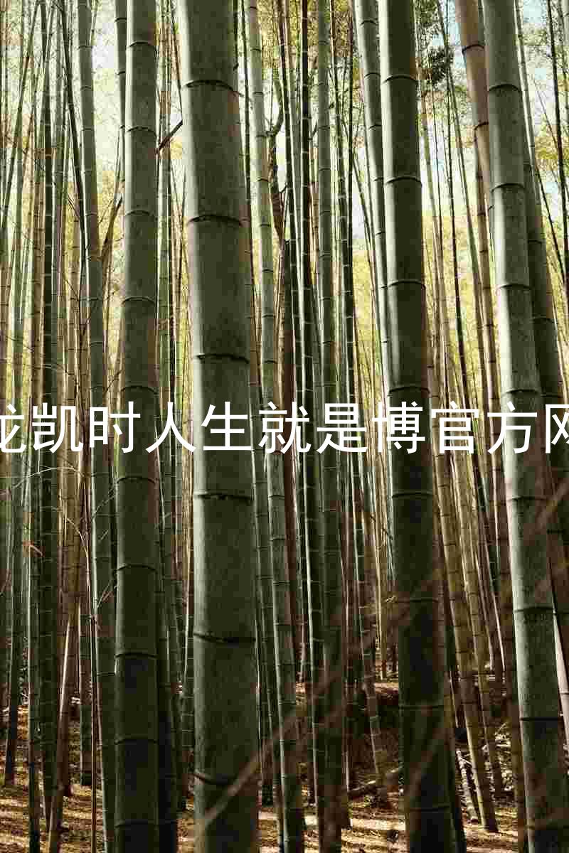 尊龙凯时人生就是博官方网站