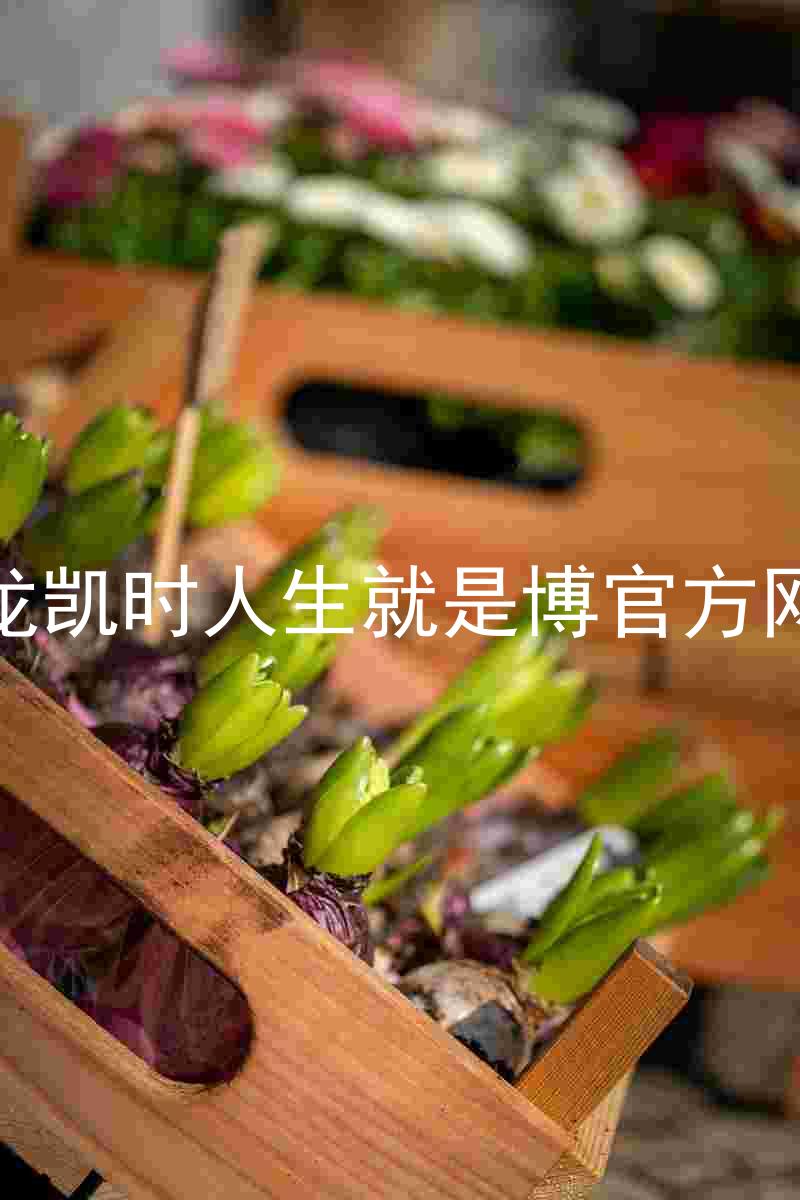 尊龙凯时人生就是博官方网站