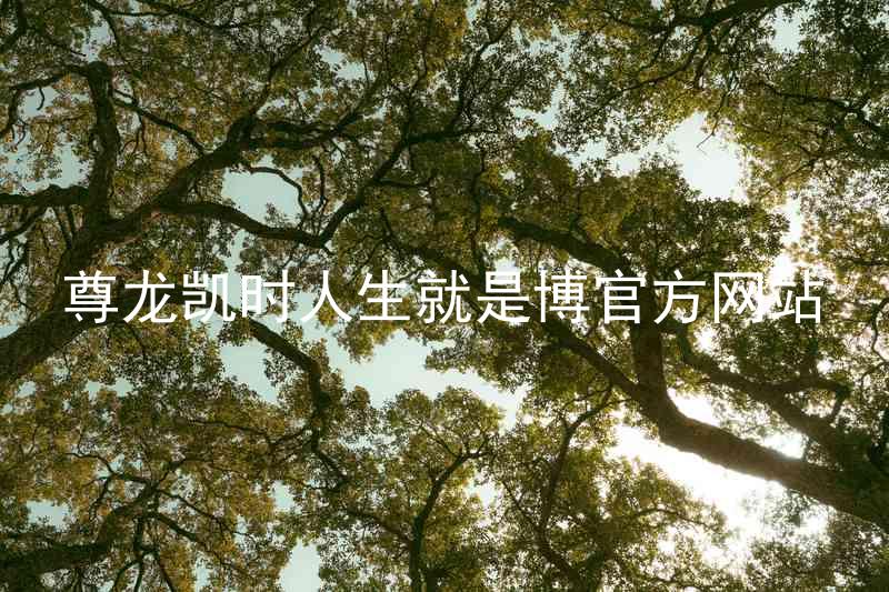 尊龙凯时人生就是博官方网站